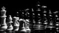 Close up of Chess pieces on a reflective mirror board surface wi Royalty Free Stock Photo