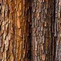 Close-up of chestnut bark. Background from living wood. Skin of the forest nature. Image created with Generative AI Royalty Free Stock Photo