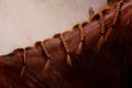 Close up of chestnut horse mane with plaits Royalty Free Stock Photo