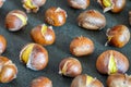 Close-up of chestnut roasted in an electric baking pan Royalty Free Stock Photo