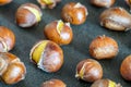 Close-up of chestnut roasted in an electric baking pan Royalty Free Stock Photo