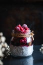 Close-up of chia seed pudding with mixed berries Royalty Free Stock Photo