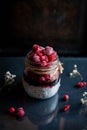 Close-up of chia seed pudding with mixed berries Royalty Free Stock Photo