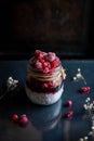 Close-up of chia seed pudding with mixed berries Royalty Free Stock Photo