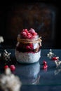 Close-up of chia seed pudding with mixed berries Royalty Free Stock Photo