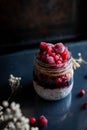 Close-up of chia seed pudding with mixed berries Royalty Free Stock Photo