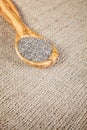 Close up of Chia seeds in a wooden spoon. Royalty Free Stock Photo