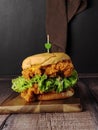 Close up a chicken cheese burger on table selected. Royalty Free Stock Photo