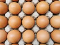 Close-up Chicken eggs in paper tray isolated on white background without shadow Royalty Free Stock Photo