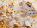 Chicken slices cooked in a creamy sauce