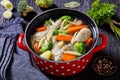 Chicken vegetable soup with pasta in red pot Royalty Free Stock Photo