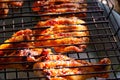 close-up. chicken steaks on a grill rack cooking over an open fire
