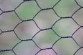 Close-up of chicken wire, a twisted metal mesh with characteristic hexagonal openings Royalty Free Stock Photo