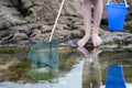 Close Up Of Child Fishing In Rockpool With Net Royalty Free Stock Photo