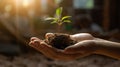 Human hands holding a small green sprout with soil on blurred background with AI generated. Royalty Free Stock Photo