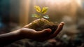 Human hands holding a small green sprout with soil on blurred background with AI generated. Royalty Free Stock Photo