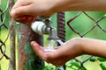 Close up child hands with water drops from old grunge brass faucet on green bokeh background. Water shortage and earth day Royalty Free Stock Photo