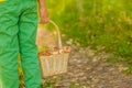 Close up child holding a basket with mushrooms