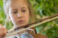 Close up of a child playing violin on green background. Portrait of girl with string and playing violin. Portrait of the little Royalty Free Stock Photo