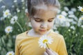 Close up of child portrait of cute little girl in yellow shirt holding and looking at chamomile in her hand Royalty Free Stock Photo