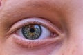 Close-up of the child`s eye. Side view. Royalty Free Stock Photo