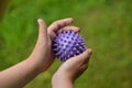 Close-up of a child`s hands holding a purple prickly antistress ball