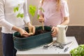 Close up of children hands hold seedling bean. Girls planting a bean plant