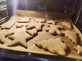 Close up of childs hands making christmas cookies Royalty Free Stock Photo