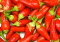 Close-up chili peppers background