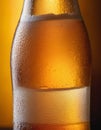 Chilled Beer Bottle Close-Up Royalty Free Stock Photo