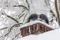 close up of a chimney in winter Royalty Free Stock Photo