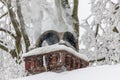 close up of a chimney in winter Royalty Free Stock Photo