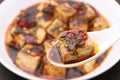 Chinese cuisine mapo doufu with spoon