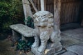 Close up Chinese Imperial Lion, Guardian Lion stone statue, Chinese, japanese style sculpture in temple garden. Exterior,outdoor Royalty Free Stock Photo