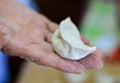 Close-up of Chinese Uncooked Dumpling Placed on a Hand Royalty Free Stock Photo