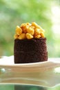 Close up chocolate cake ang sweet nut Royalty Free Stock Photo