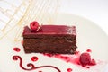 Chocolate cake with raspberry on a white plate Royalty Free Stock Photo