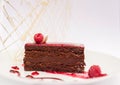 Chocolate cake with raspberry on a white plate Royalty Free Stock Photo