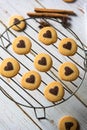 Close up of chocolate chip cookies on grill stand Royalty Free Stock Photo