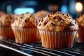 Close Up Chocolate Chip Muffins Cooling Rack Royalty Free Stock Photo