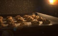 Close up Chocolate chips cookies on a baking tray in oven,filtered red and brown vintage image ,selective focus, flare added Royalty Free Stock Photo