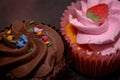 a close up of a chocolate and strawberry cupcake side by side shot using selective focus Royalty Free Stock Photo