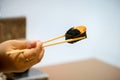 Close up chopsticks hold on sushi Egg Shrimp Japanese food for healthy. unagi sushi, premium sushi menu.