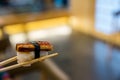 Close up chopsticks hold on sushi freshwater eel grilled. Japanese food for healthy. unagi sushi, premium sushi menu. Royalty Free Stock Photo