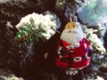 Close-up Christmas festival`s ornament, santa doll hang on the pine tree horizontal view. Royalty Free Stock Photo