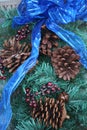 Christmas swag of pine branches with pinecones, copper bells, red berries and a blue ribbon