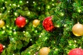 Close up of Christmas tree decorated with red and gold ball with boken Royalty Free Stock Photo