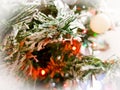 Close up of Christmas tree snowy branches Royalty Free Stock Photo