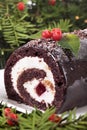 Close up of Christmas yule log cake on plate under tree