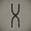 Close up chromosome 3d rendering illustration